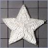Sequin Star